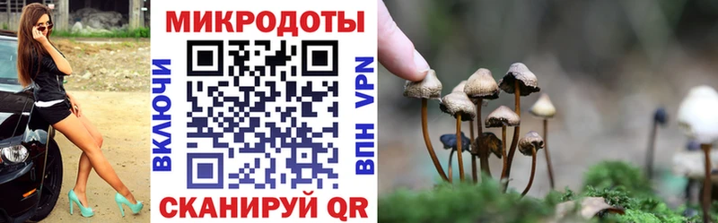 kraken вход  Глазов  Псилоцибиновые грибы прущие грибы 